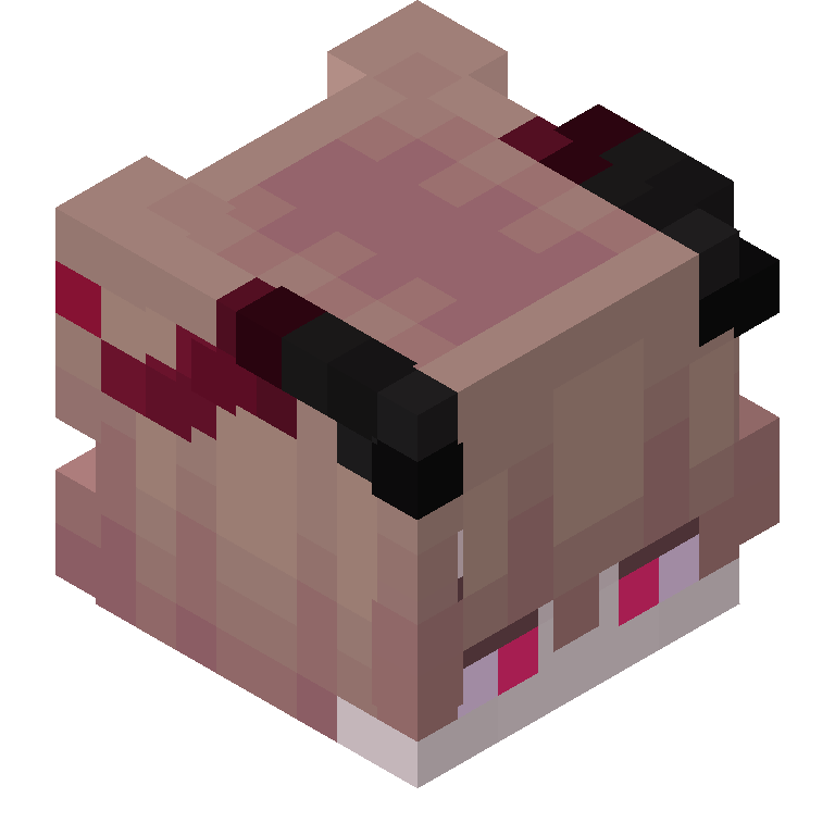 HEAD_ISO