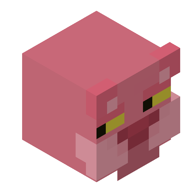 HEAD_ISO