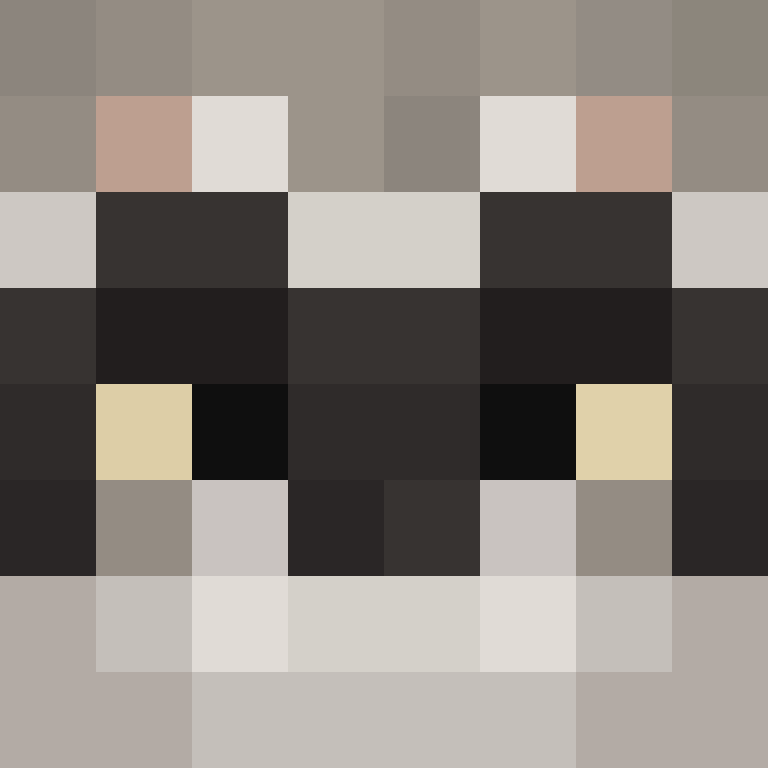 SwagFox5000's skin