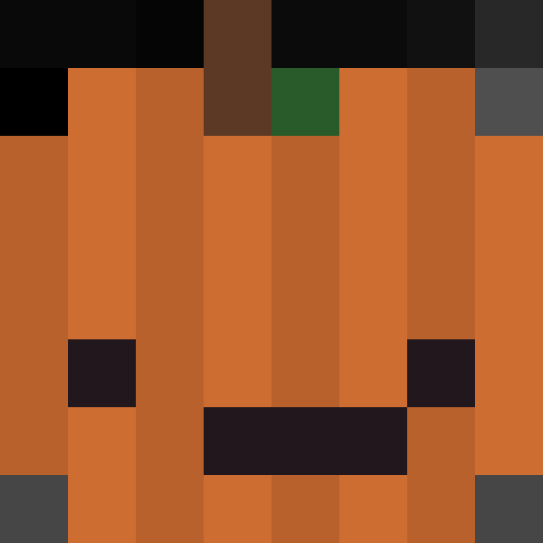 xX_No_Income_Xx's skin