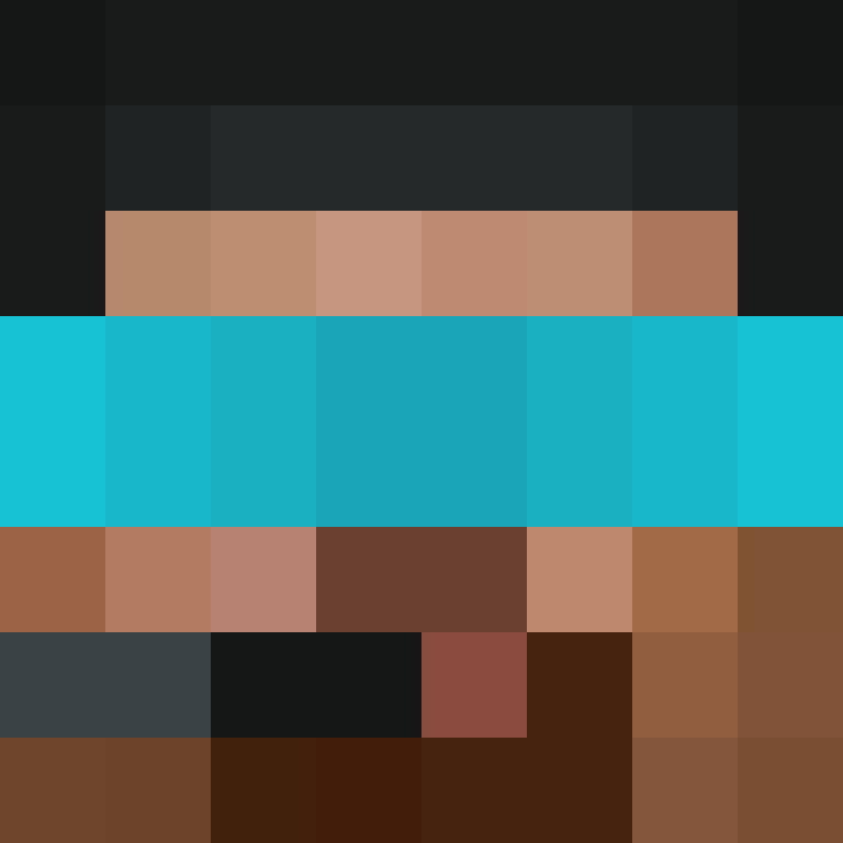 SashMich's skin