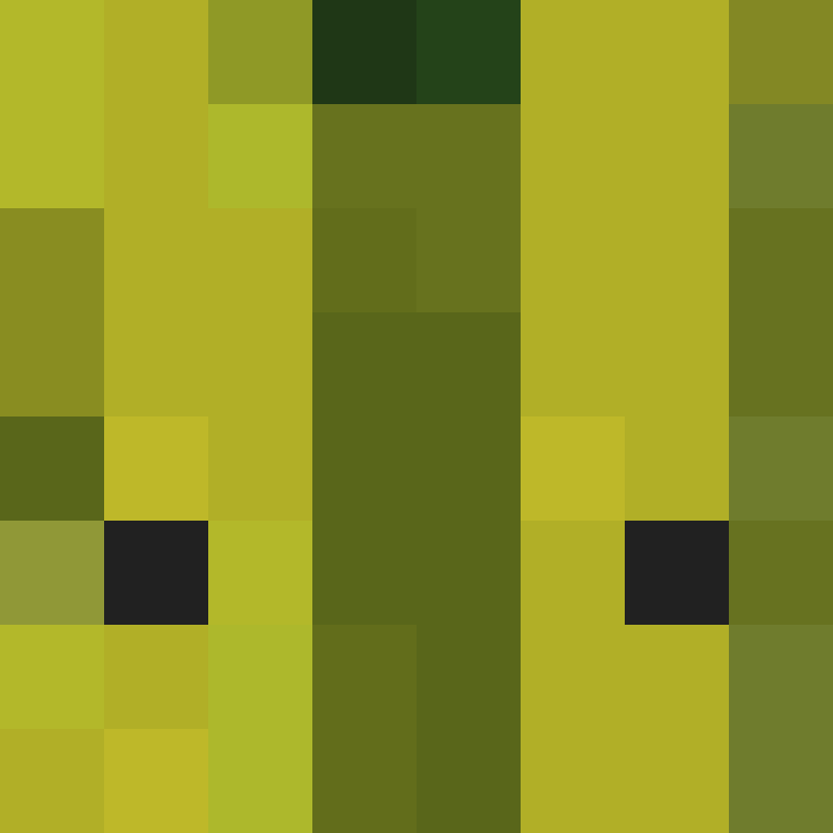 _MelonMC's skin