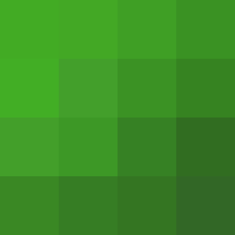 AutoSkin's skin