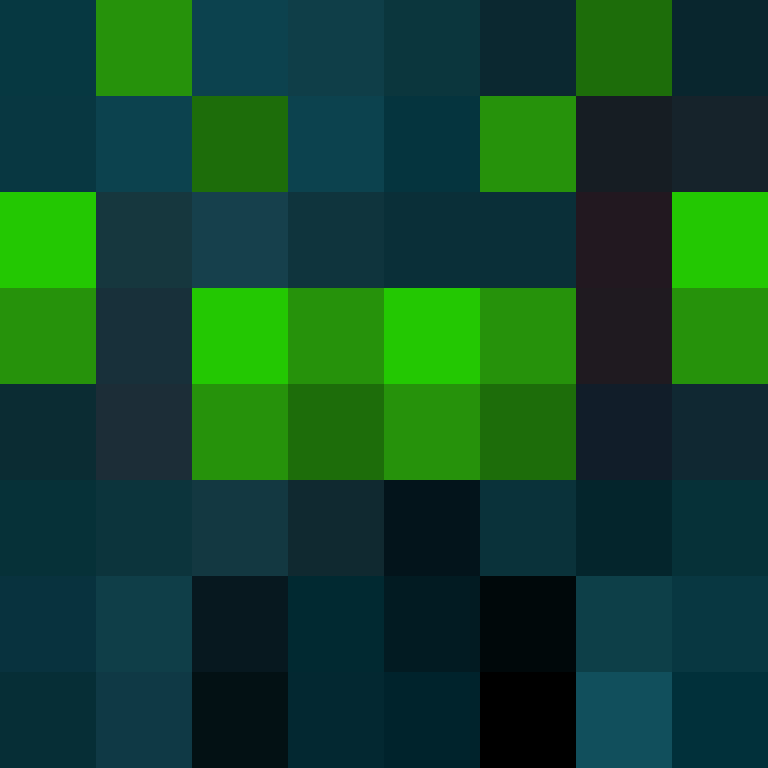 xShin0bii's skin