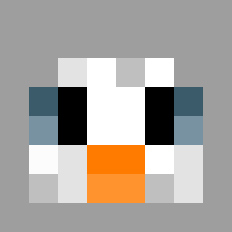 PauBru's skin