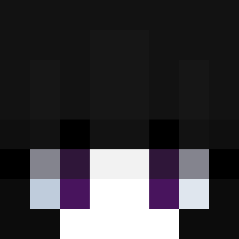 niztxey's skin