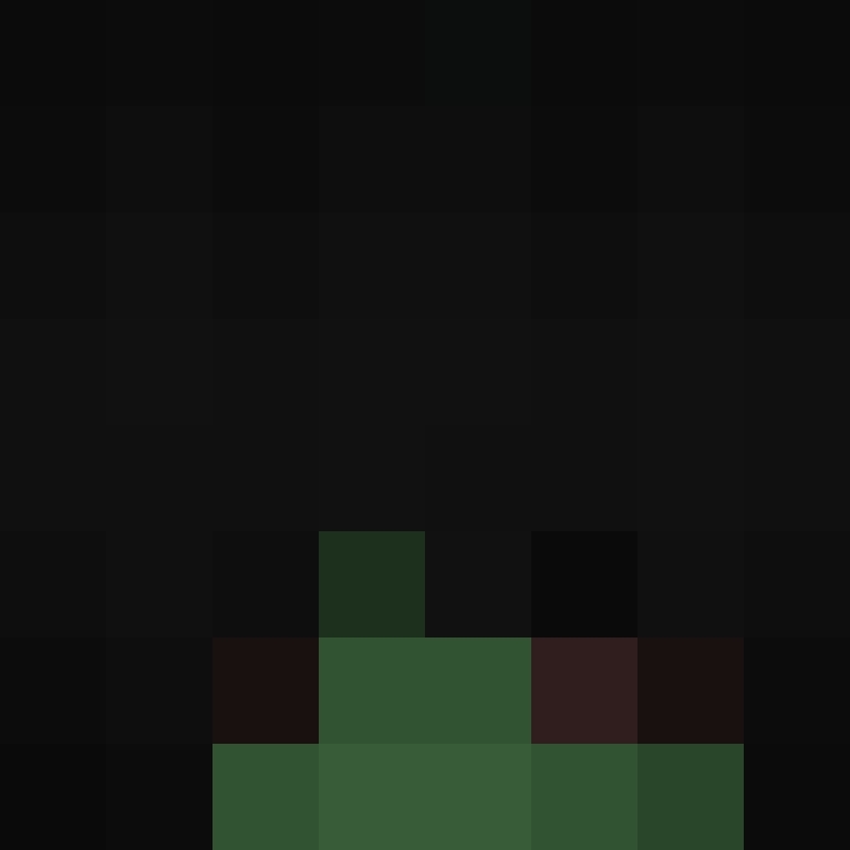 Spinncake's skin