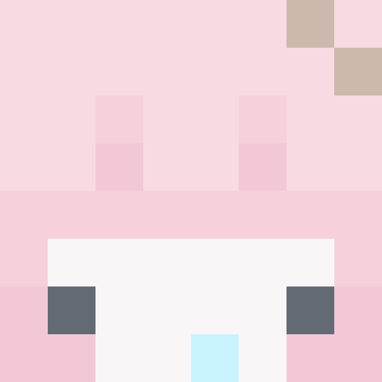 buuniq's skin