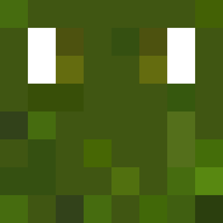 InfernalTurtle_'s skin