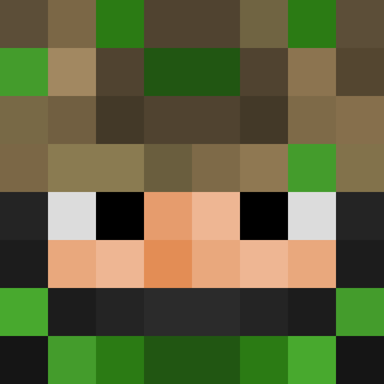 31110's skin
