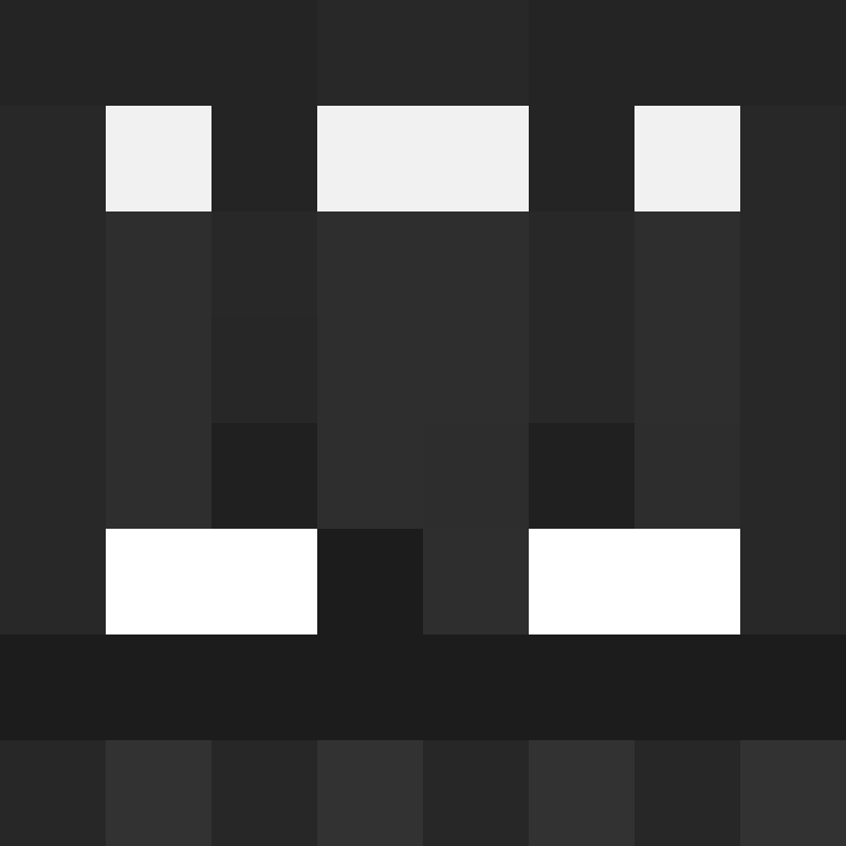 NetheriteN1nja's skin