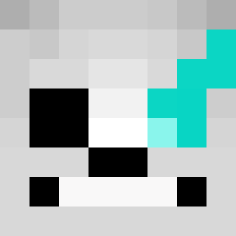 THEFlopper's skin
