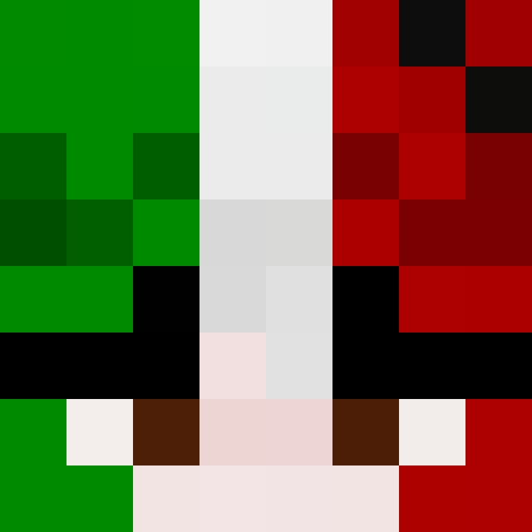 RuimMC's skin