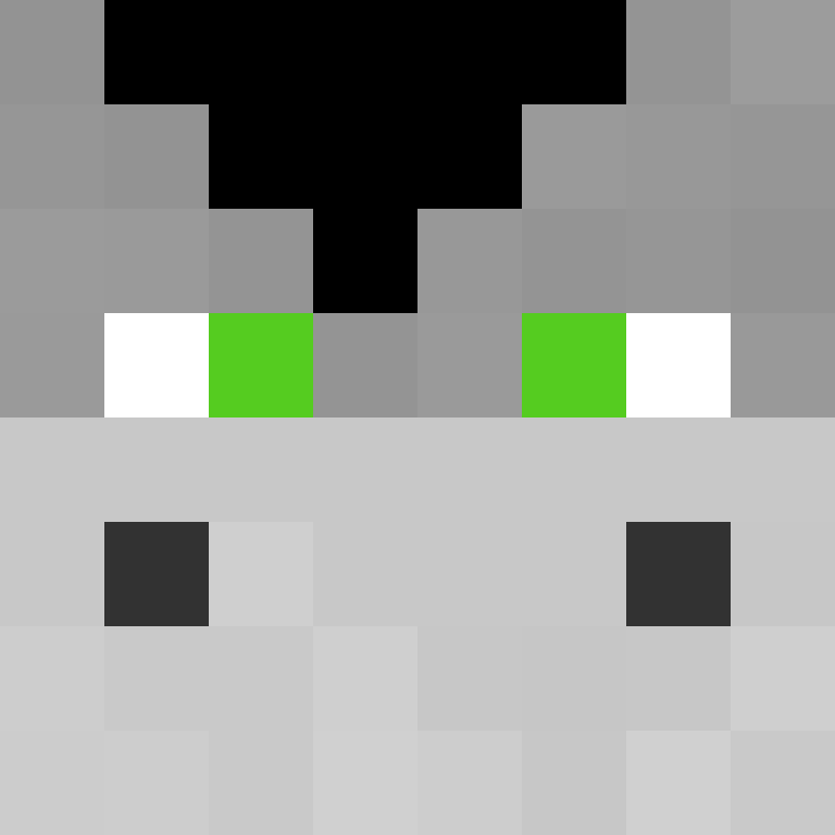 FryedECHO's skin