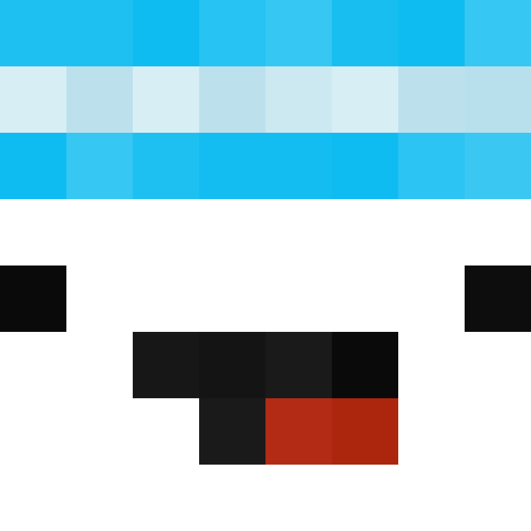 pandaking123456's skin