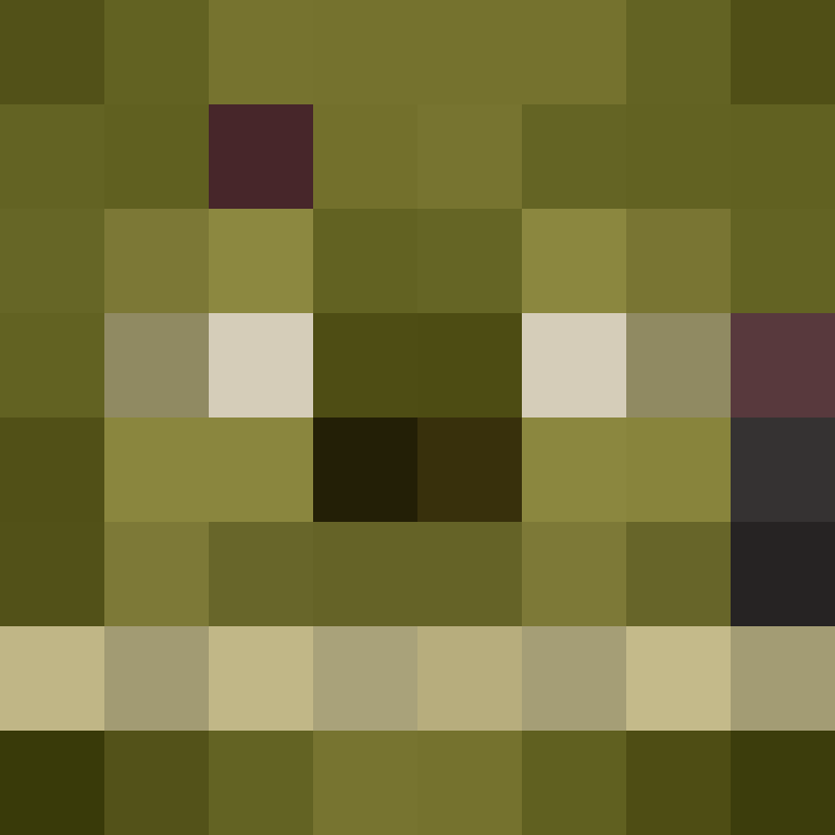 vichocampo's skin
