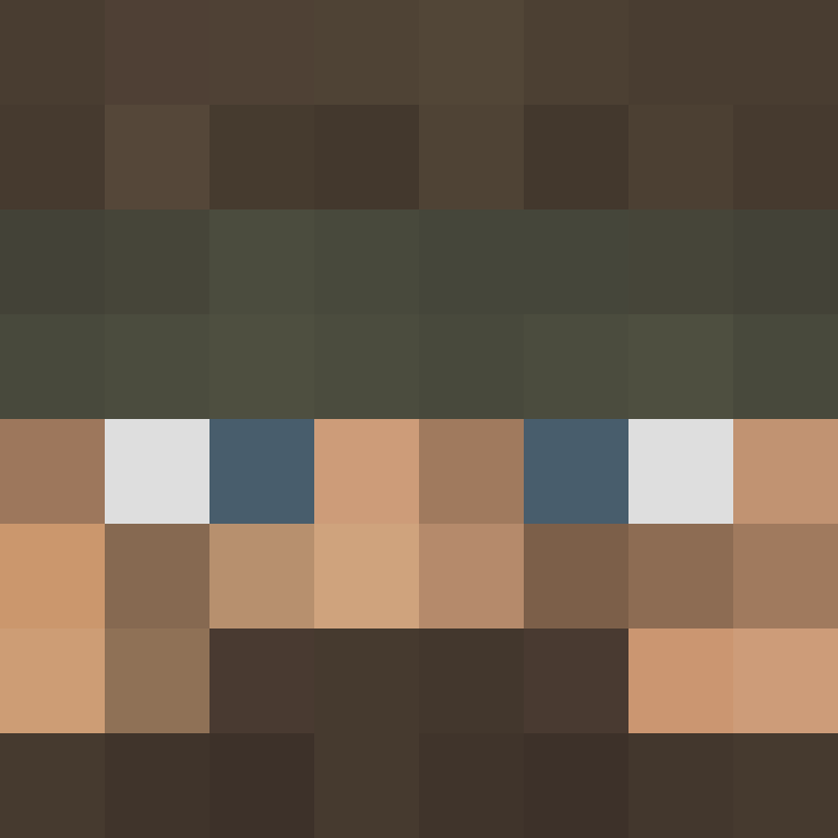 brubear's skin