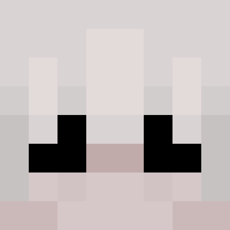 skibidibidek's skin