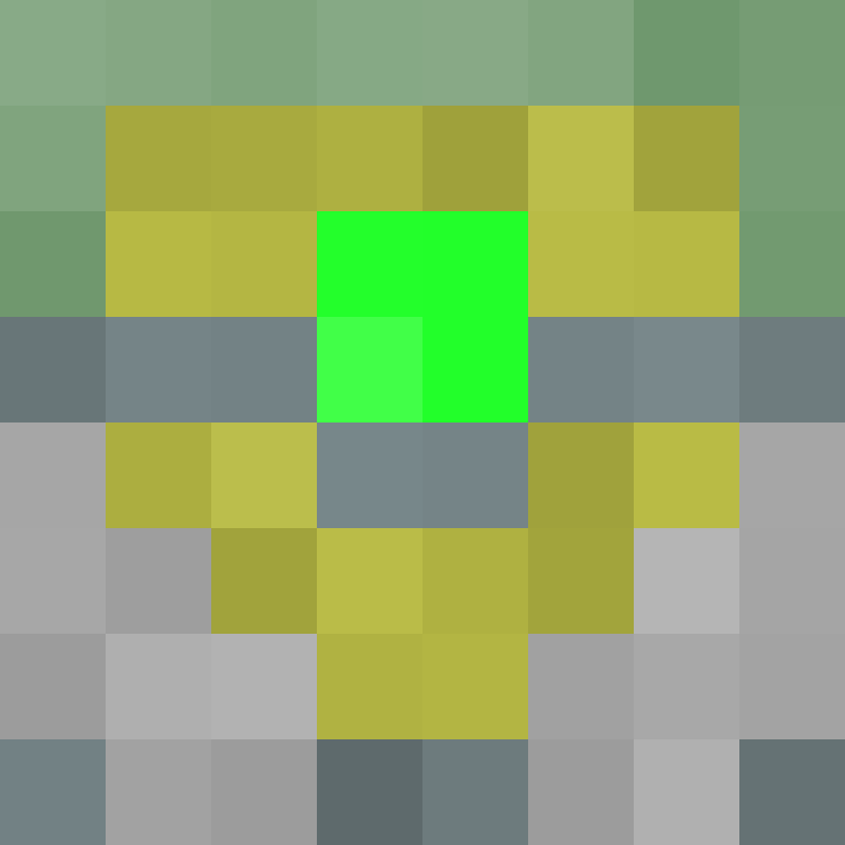 Pxrkzr's skin
