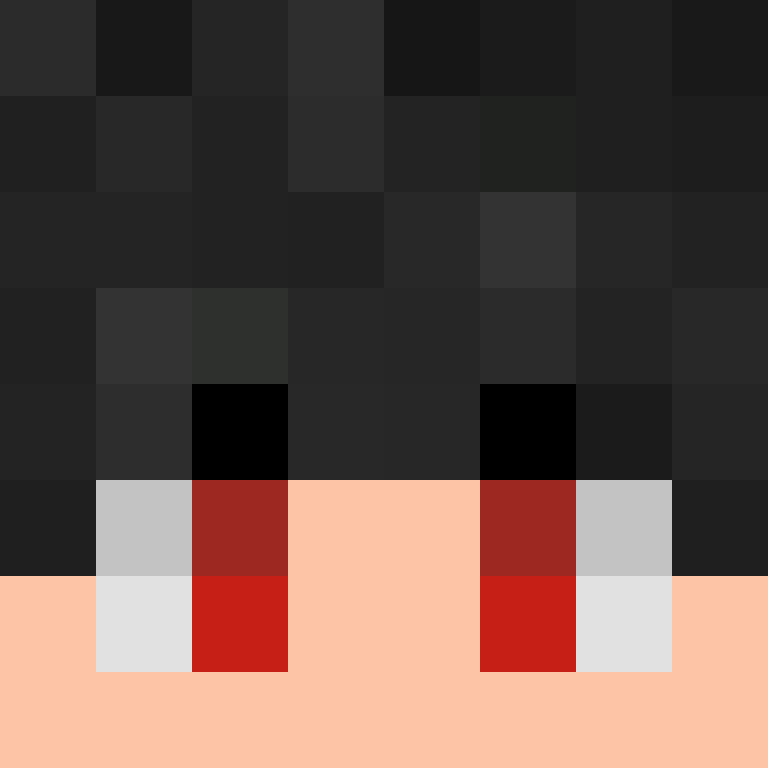 1337woorek's skin