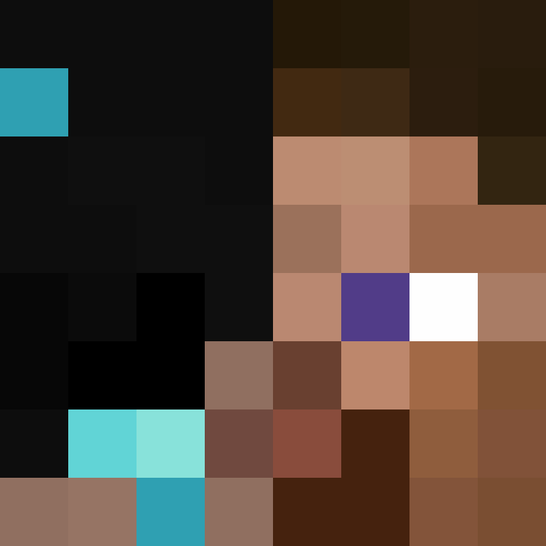 MemeEarth's skin