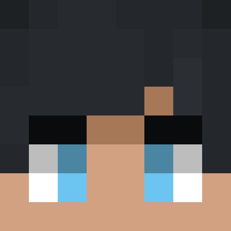 NightFury099's skin