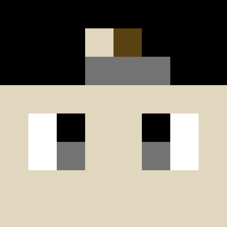 Supfood's skin