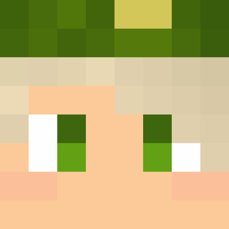 DMediv's skin