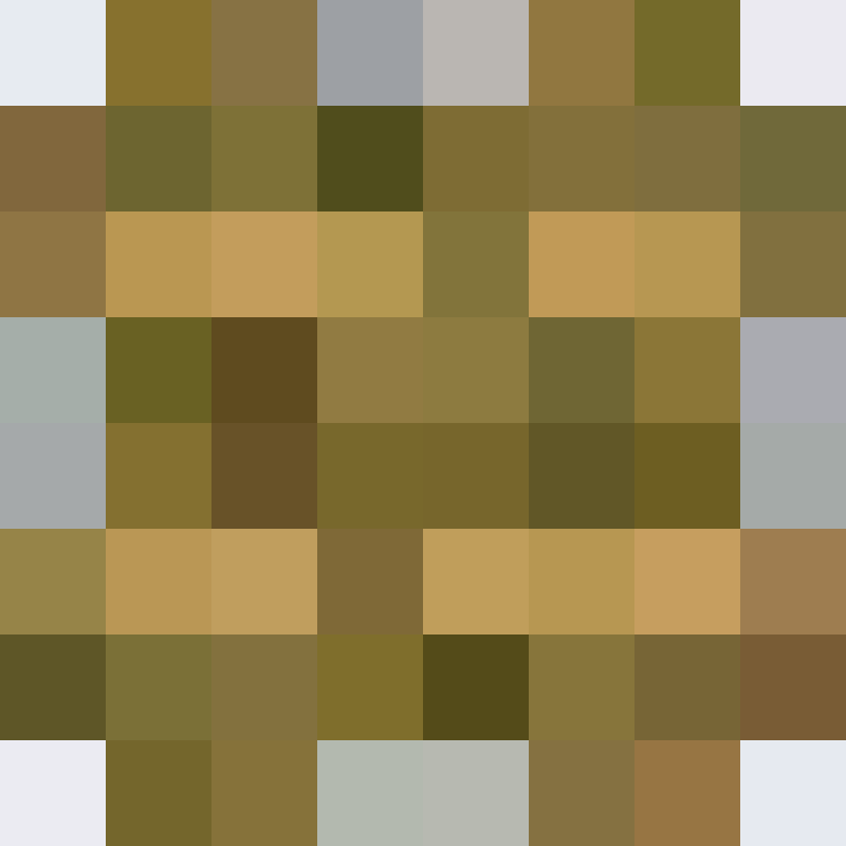zubiden's skin