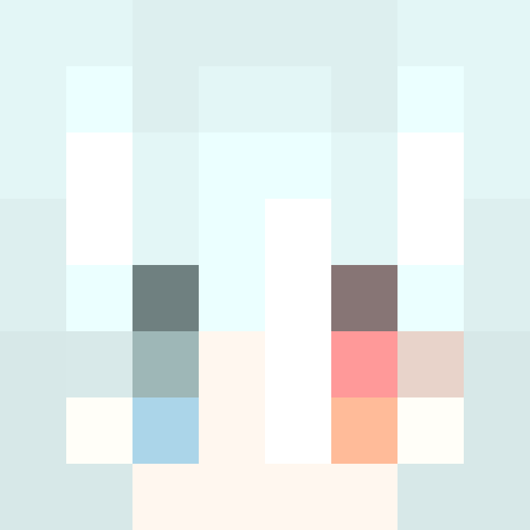 CHSFE's skin