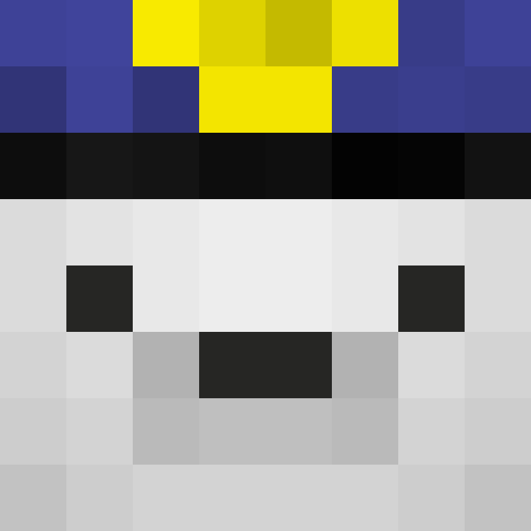 wholepilot's skin