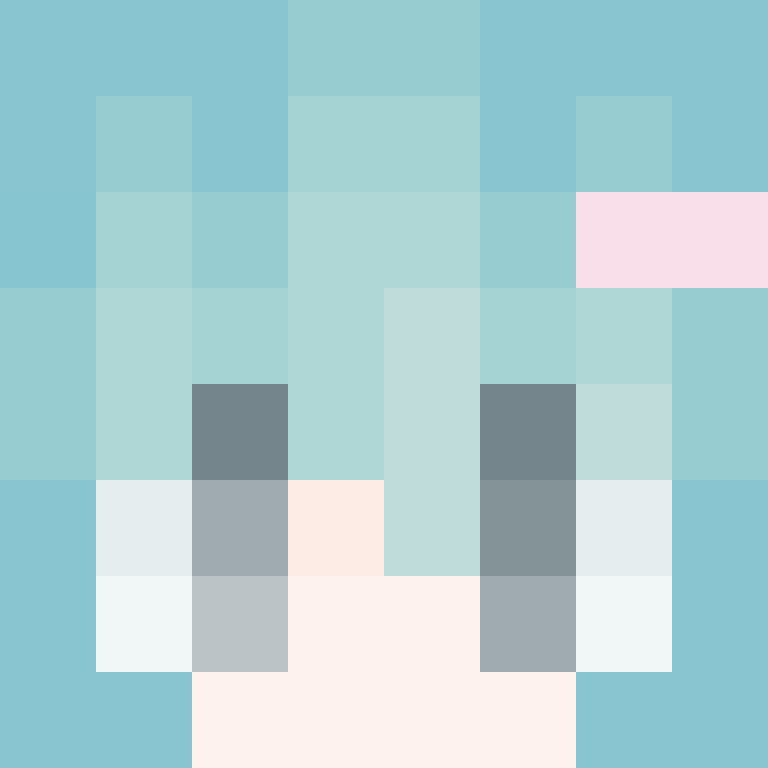 chizutouch's skin