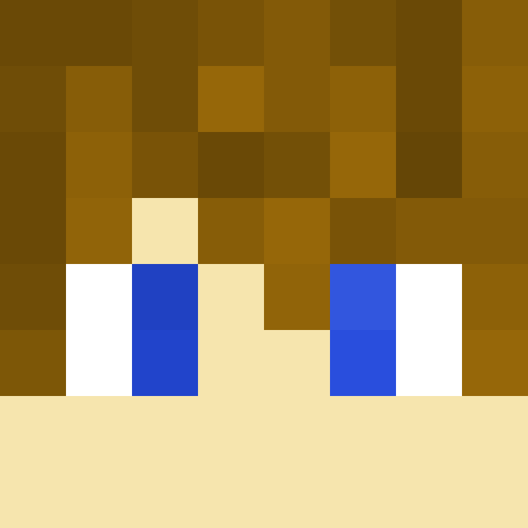 crafted13311's skin