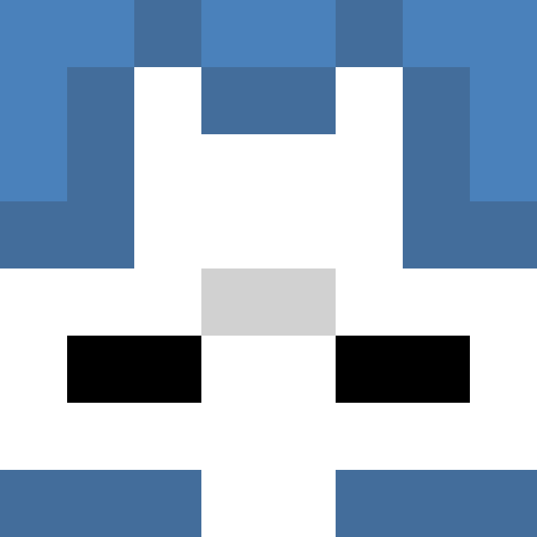 Zooms66's skin