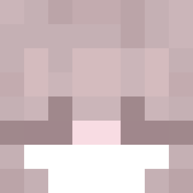 Polar_Airline's skin