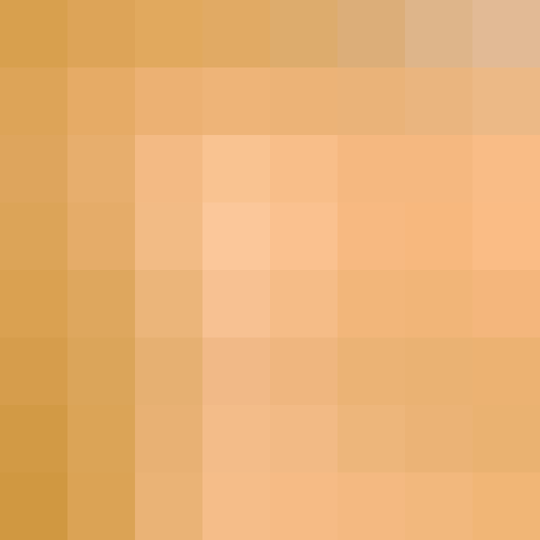 CERMASTER's skin