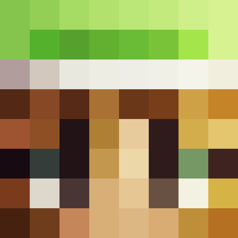 Panda022's skin