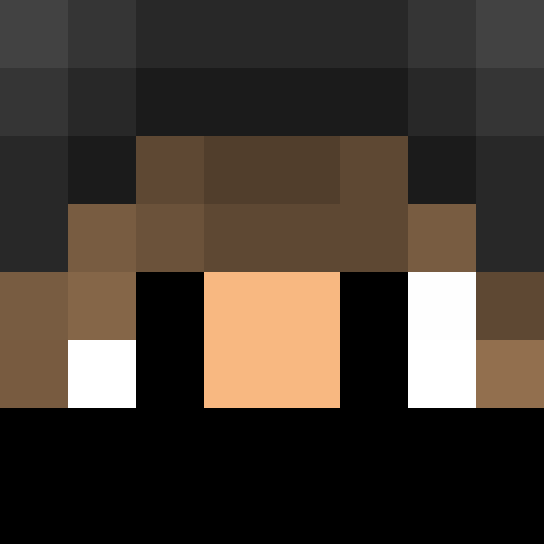 NinjArcher's skin