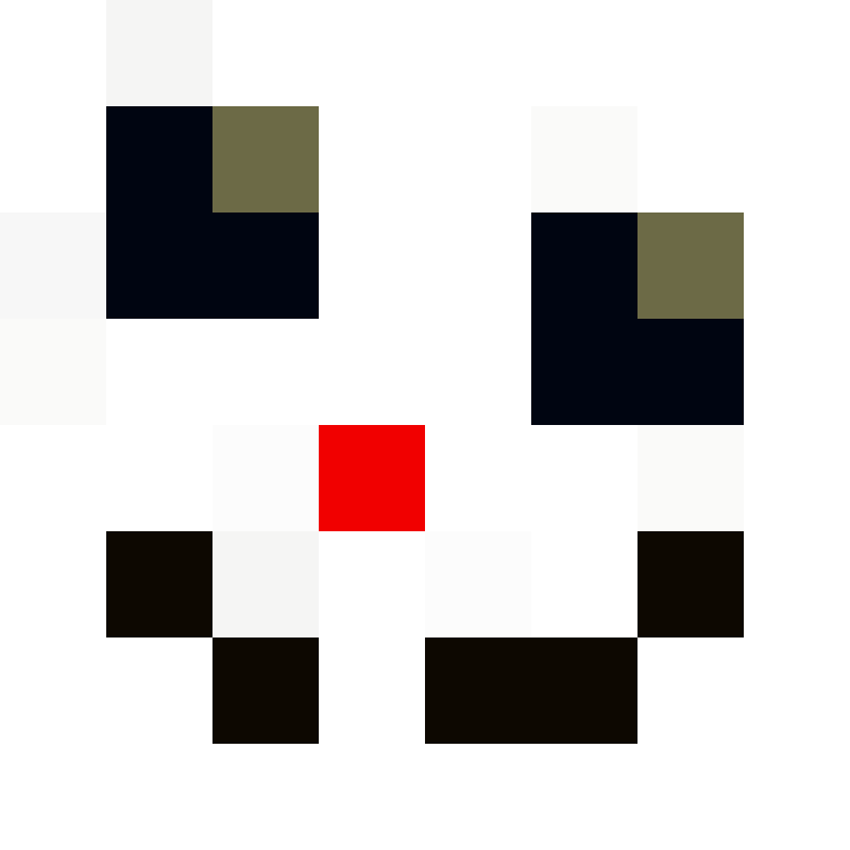 fanzier's skin