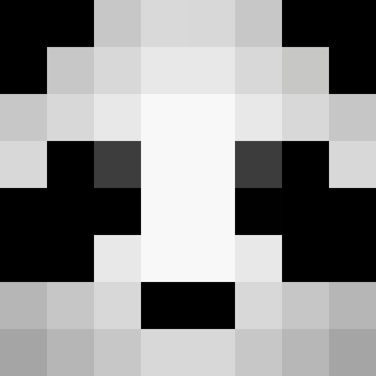 Centipe's skin