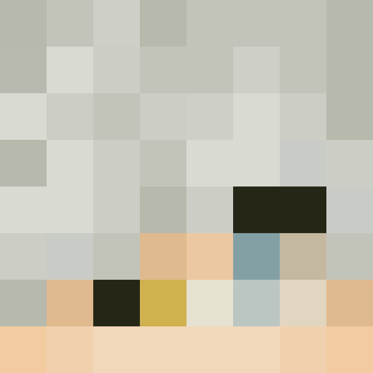 evilchiikawa's skin