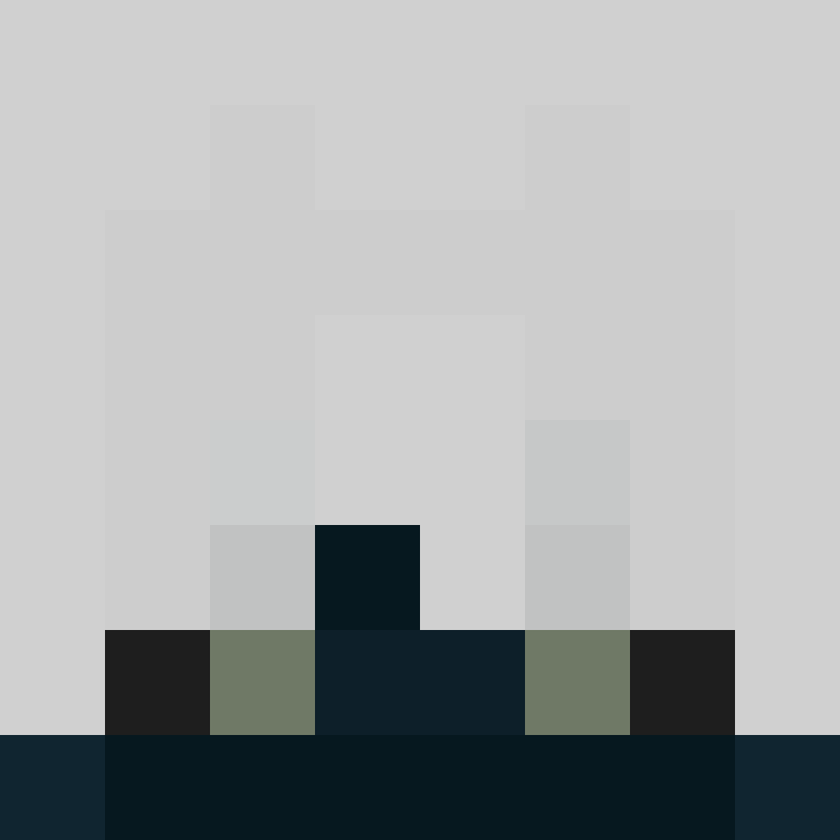 40seg's skin
