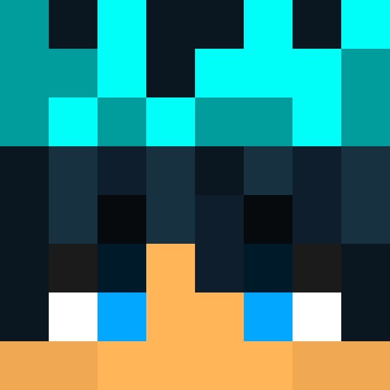 xX_No_Income_Xx's skin