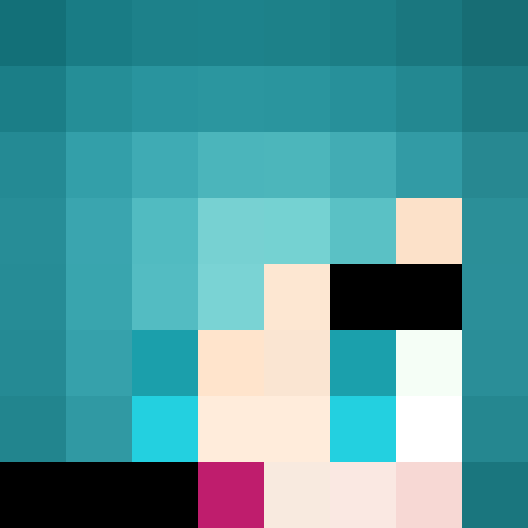 AutoSkin's skin
