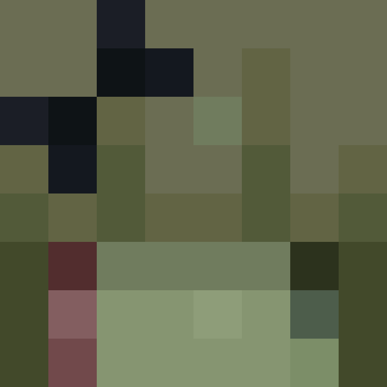 chioq's skin