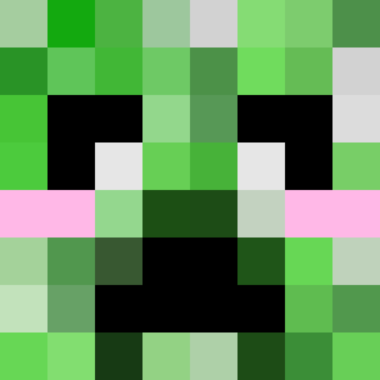 skinglitch's skin
