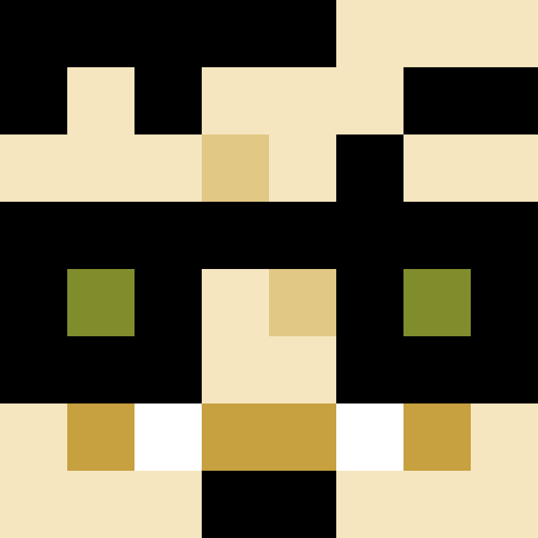 litezy's skin