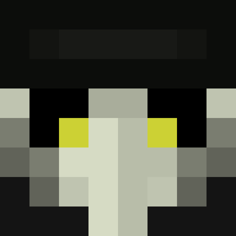 SargemOG's skin