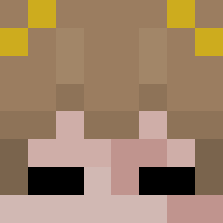 Villager549's skin