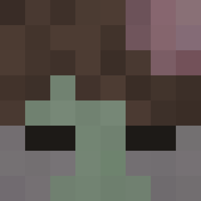deminecrafterlol's skin